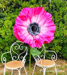 Anemoni 1 stelo
