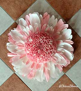 Fantasia