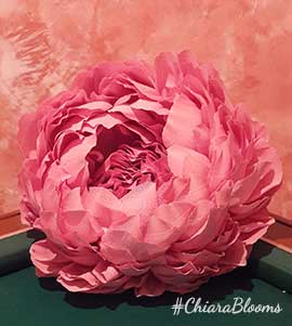 Peonie