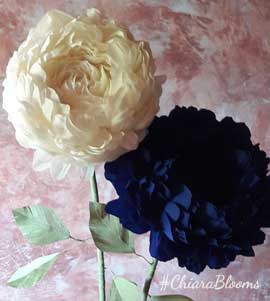 Peonie 2 steli