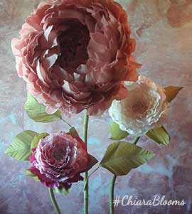 Peonie 3 steli
