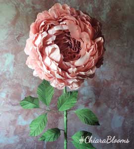 Peonie 1 stelo