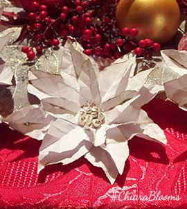 Stelle di Natale